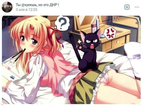 Ты @хуеешь, но это ДНР! 3 ноя в 12:35 4 у 4