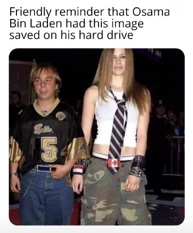 Friendly reminder that Osama Bin Laden had this image saved on his hard drive у