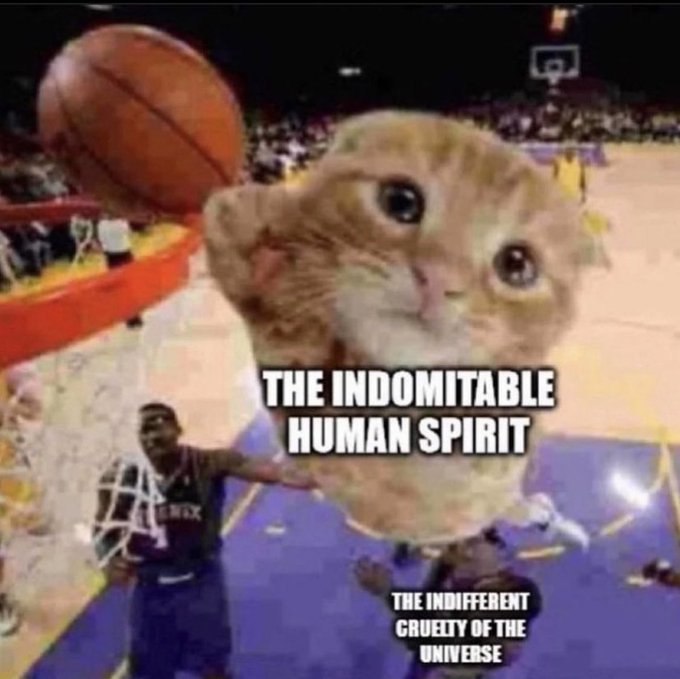 INDOMITABLE HUMAN SPIRIT THE INDIFFERENT OF THE UNIVERSE