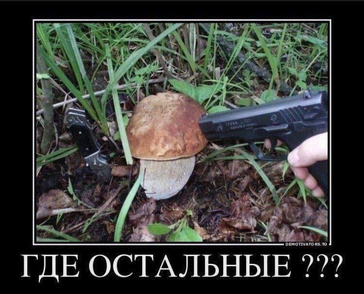 a ГДЕ ОСТ АЛЬНЫ