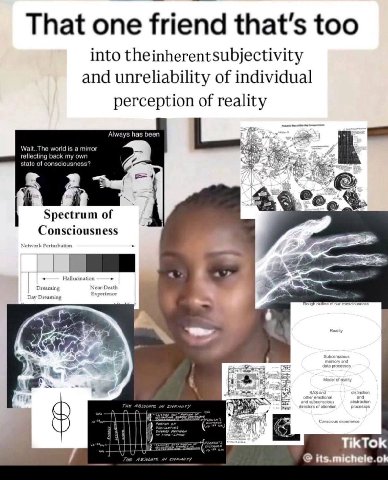 That one friend that’s too into theinherentsubjectivity and unreliability of individual perception of reality Always has been 19 &6 Spectrum of Consciousness TikTok
