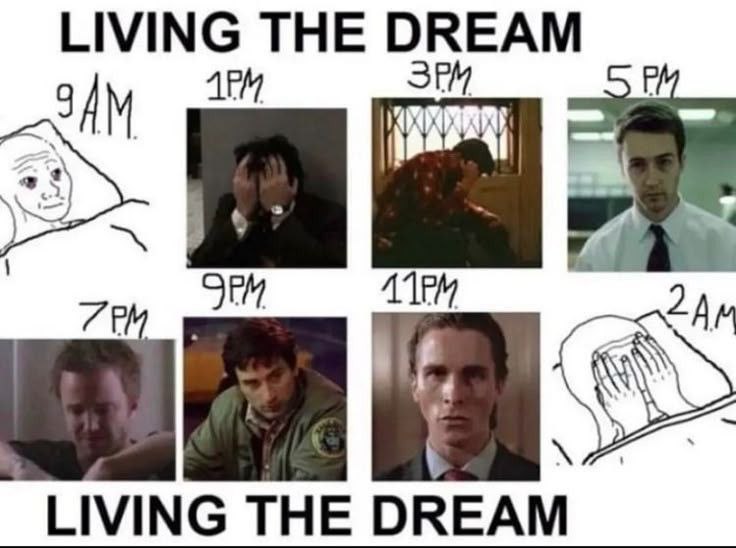 LIVING THE DREAM ЗАМ ЛЕМ SEM LIVING THE DREAM