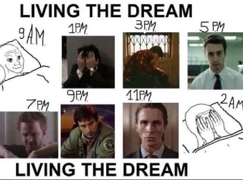 LIVING THE DREAM ЗАМ ЛЕМ SEM LIVING THE DREAM