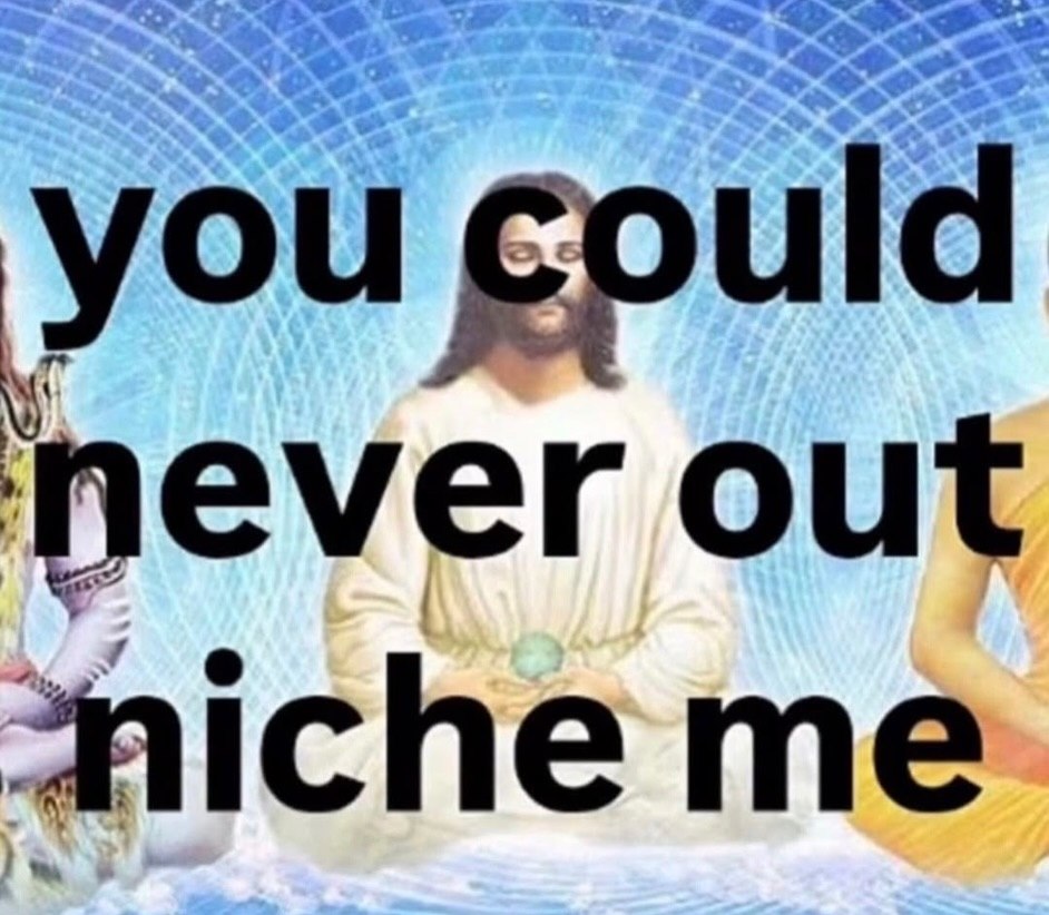 you could never out niche me