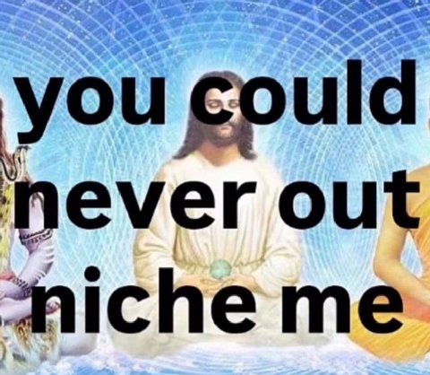 you could never out niche me