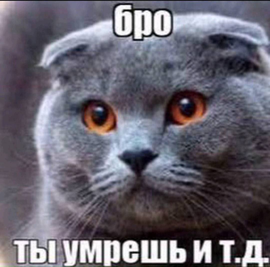 бро ИТД.