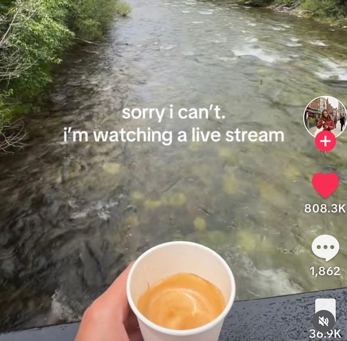 sorry watching а live stream 1,862