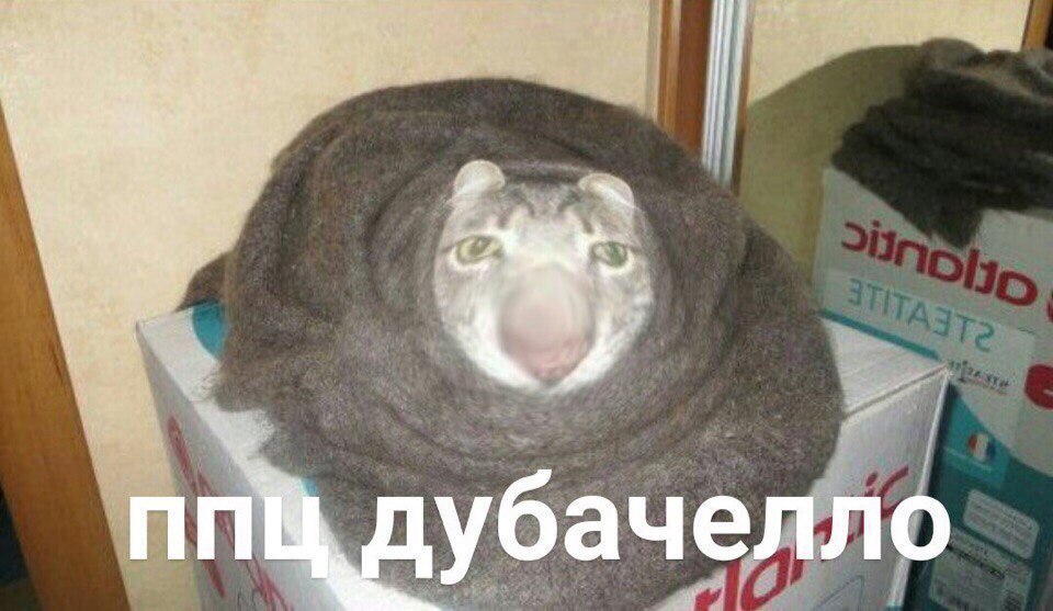 3 4 a a у убачелло