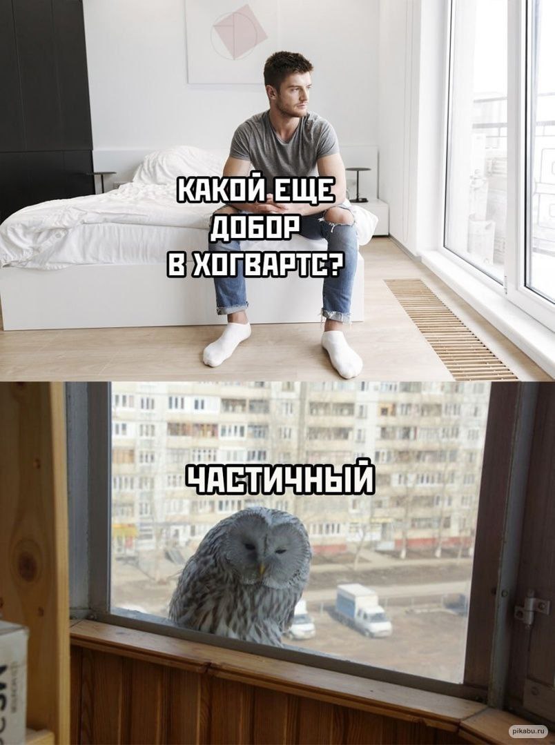 KAKOV.EWE ДОБОР pikabu.