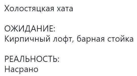 Холостяцкая хата ОЖИДАНИЕ: Кирпичный лофт, барная стойка РЕАЛЬНОСТЬ: Насрано