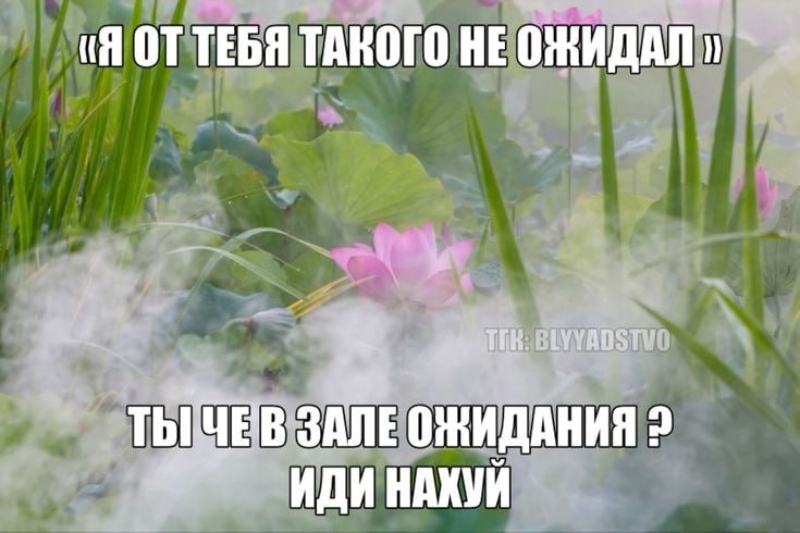 (Я ОТТЕБЯ ТАКОГО HE К. ЗАЛЕОЖИДАНИЯ 2 ИДИ НАХУЙ