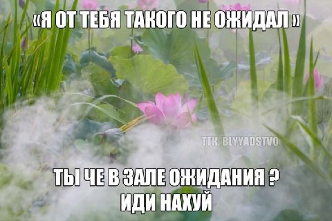 (Я ОТТЕБЯ ТАКОГО HE К. ЗАЛЕОЖИДАНИЯ 2 ИДИ НАХУЙ