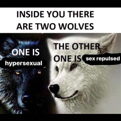 INSIDE YOU THERE ARE TWO WOLVES WHE 9 зехгеризеа hypersexual