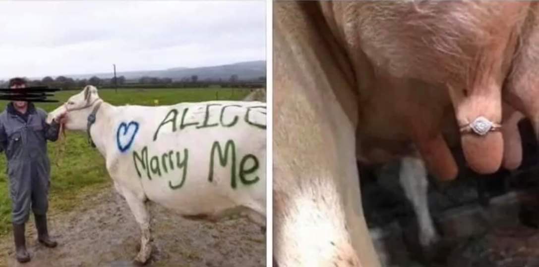 +