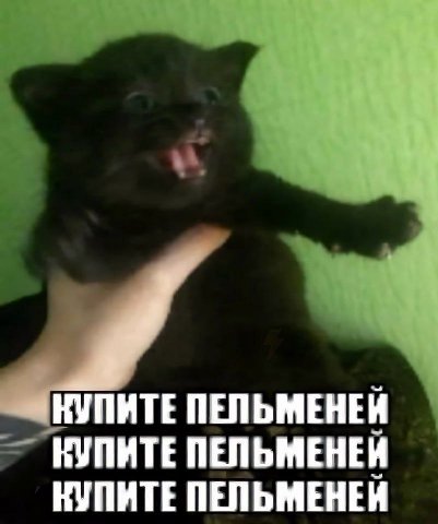 у «НУПИТЕ ПЕЛЬМЕНЕЙ КУПИТЕ ПЕЛЬМЕНЕЙ КУПИТЕ ПЕЛЬМЕНЕЙ