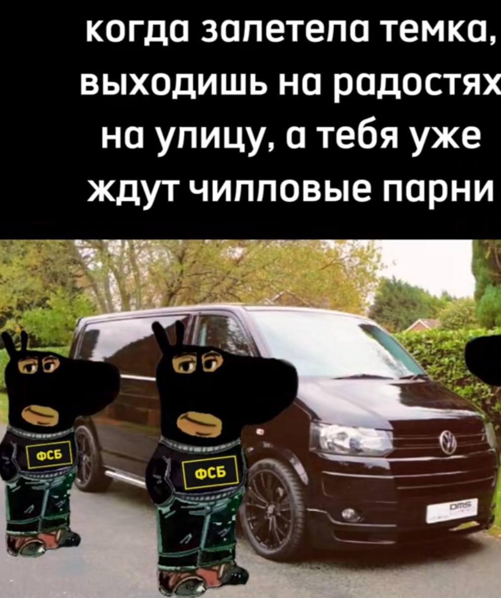 когда запетела темка, выходишь на радостях на улицу, а тебя уже ждут чилловые парни ФСБ