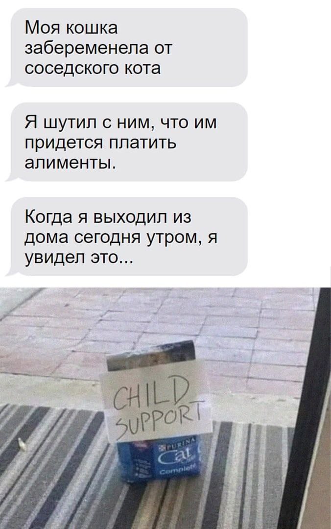 Моя кошка забеременела от соседского кота Я шутил с ним, что придется платить алименты. Когда я выходил из дома сегодня утром, я увидел это... ray 1 lie у 4