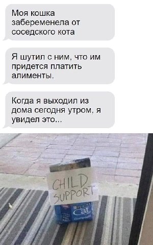 Моя кошка забеременела от соседского кота Я шутил с ним, что придется платить алименты. Когда я выходил из дома сегодня утром, я увидел это... ray 1 lie у 4