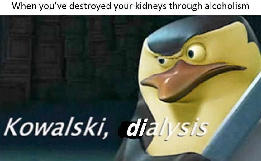 When you’ve destroyed your kidneys through alcoholism
