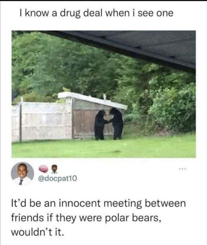 know а drug deal when i see one к 7 It'd be an innocent meeting between friends if they were polar bears, it.