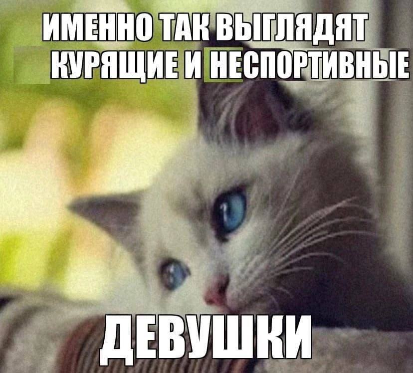 ИМЕННО ТАК ВЫГЛЯДЯТ КУРЯЩИЕИ НЕСПОРТИВНЫЕ