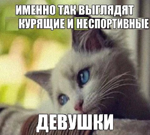 ИМЕННО ТАК ВЫГЛЯДЯТ КУРЯЩИЕИ НЕСПОРТИВНЫЕ