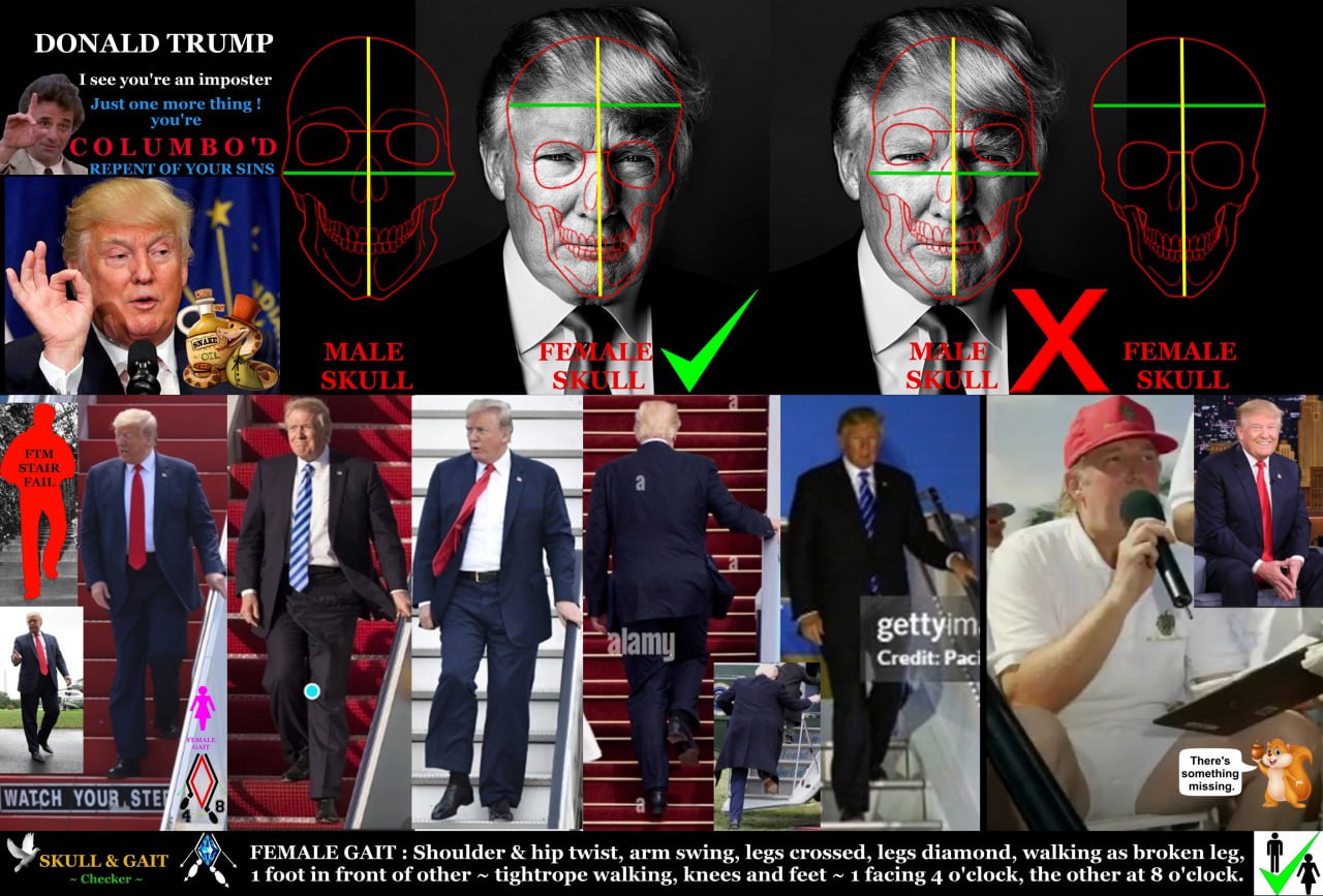 ESS DONALD TRUMP I see you're an imposter 28 Just one more thing 1 OF YOUR SINS в 3 у 4 в» а 4 а я 2 Я a а 4 WATCH YOUR, 4 a GAIT FEMALE GAIT Shoulder hip twist, arm swing, legs crossed, legs diamond,
