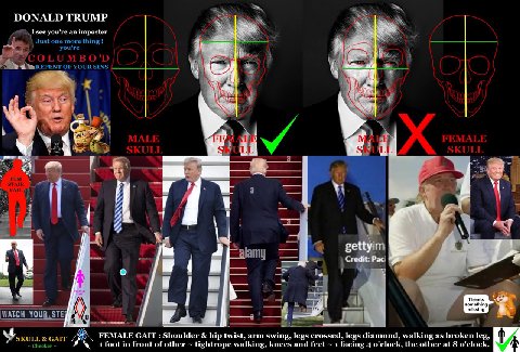 ESS DONALD TRUMP I see you're an imposter 28 Just one more thing 1 OF YOUR SINS в 3 у 4 в» а 4 а я 2 Я a а 4 WATCH YOUR, 4 a GAIT FEMALE GAIT Shoulder hip twist, arm swing, legs crossed, legs diamond,