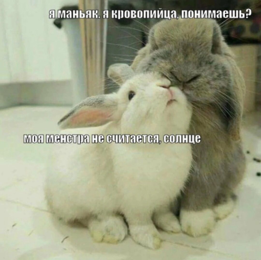 я понимаешь? считается. солнце
