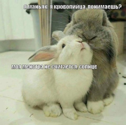 я понимаешь? считается. солнце