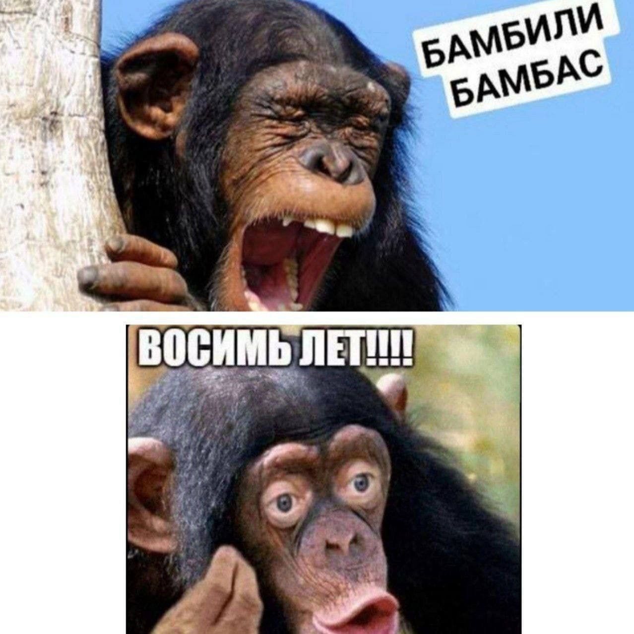 млм БАМР к. ВОСИМЬ 4 a