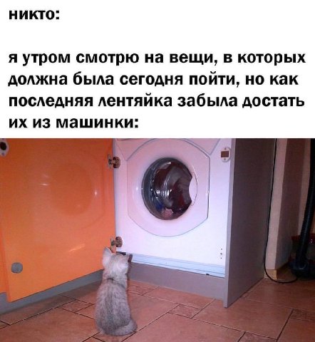 никто: я утром смотрю на вещи, в которых должна была сегодня пойти, но как последняя лентяйка забыла достать из машинки: