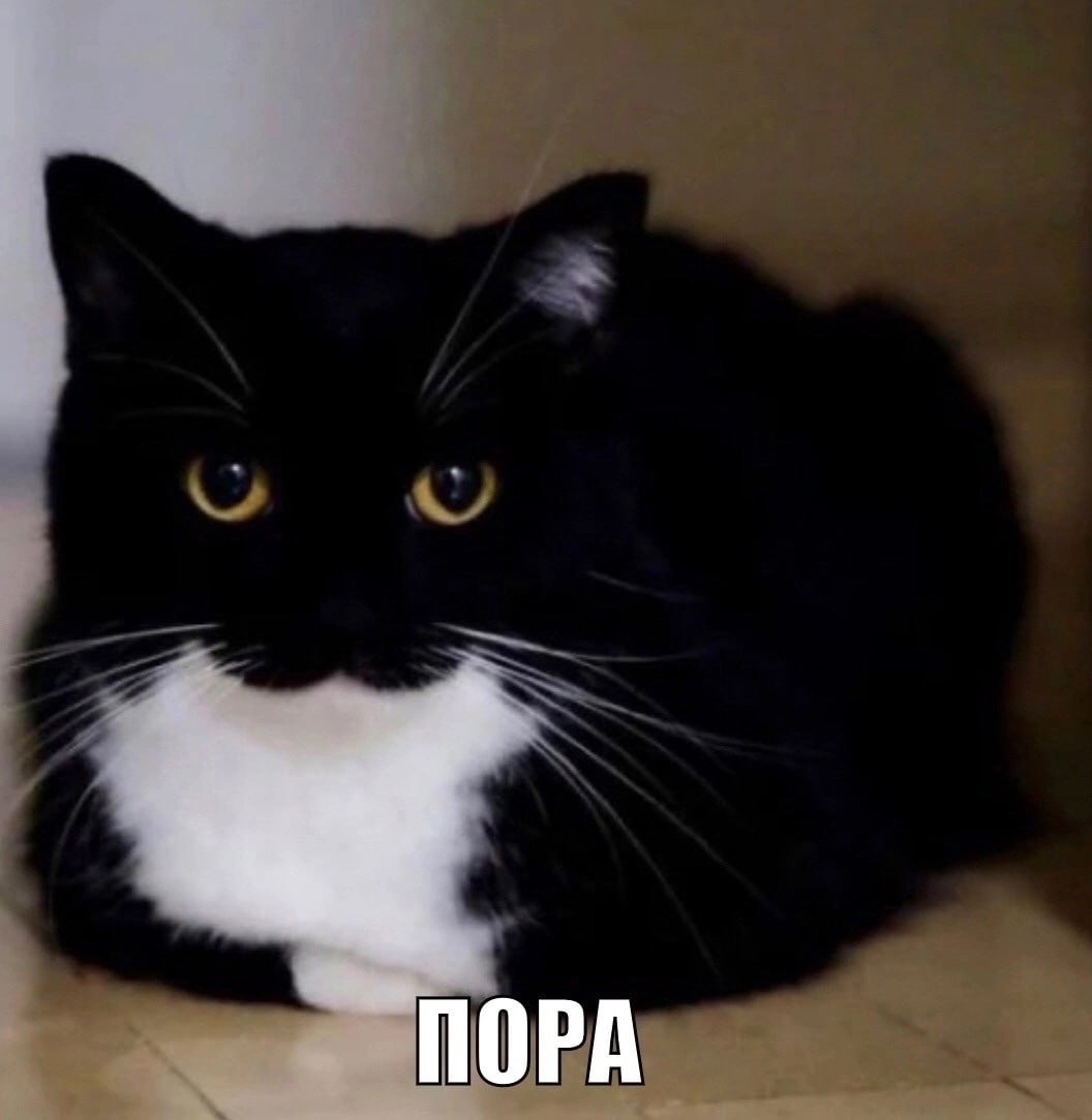 ПОРА