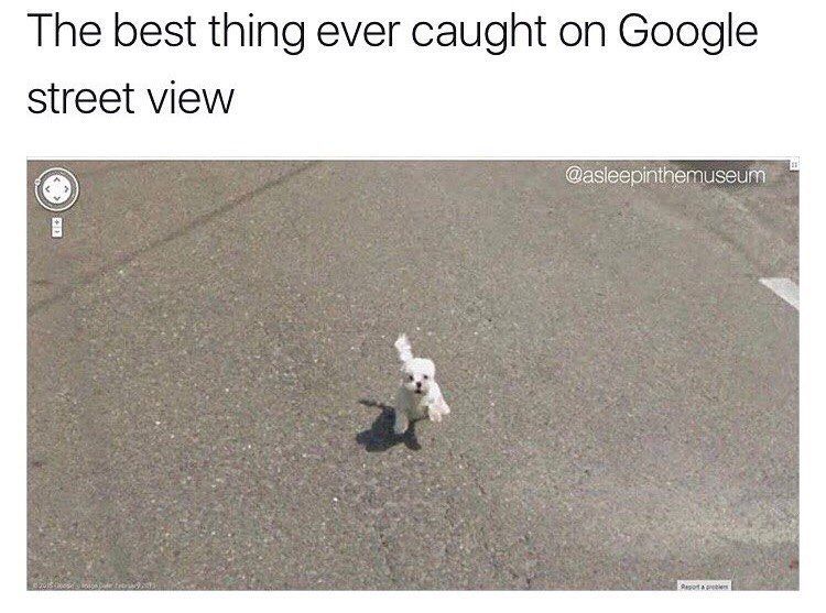 The best thing ever caught on Google street view