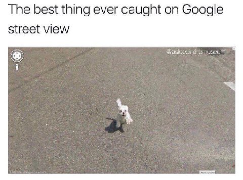 The best thing ever caught on Google street view