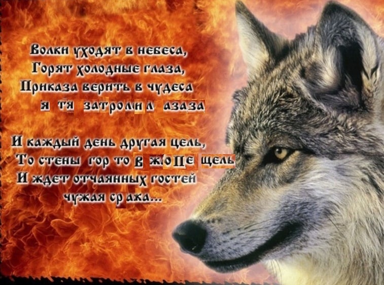 НЕБЕСА, у Wars К We, И У ГАЯ ЦЕЛЬ, В ILE A, и ЯННЫХ Efi aN a.