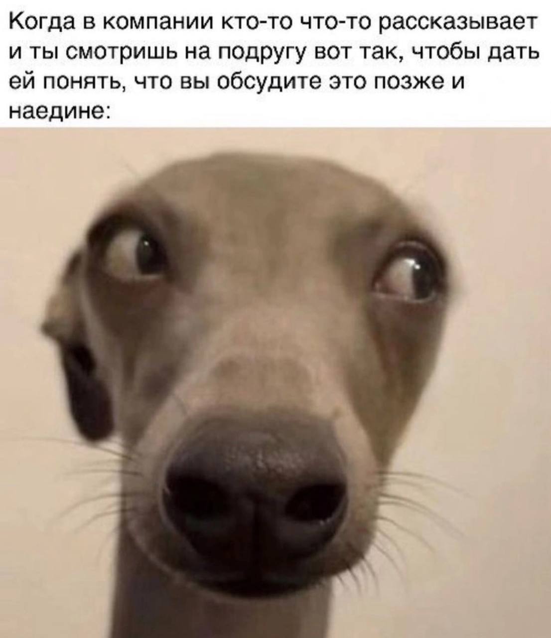 Когда в компании кто-то что-то рассказывает и ты смотришь на подругу вот так, чтобы дать понять, что вы обсудите это позже и наедине: