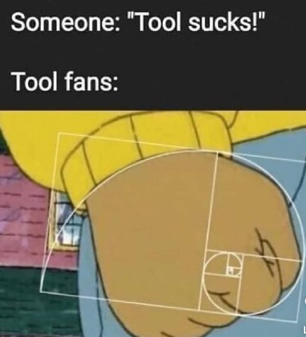 Someone: "Tool sucks!" Tool fans: