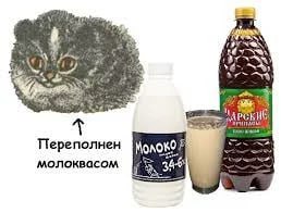 Переполнен молоквасом