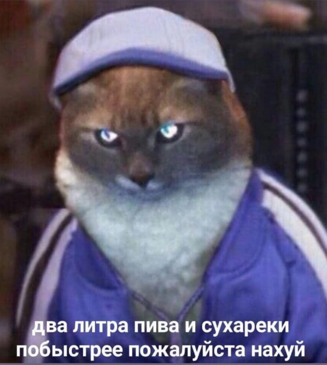 два литра пива и сухареки побыстрее пожалуйста нахуй