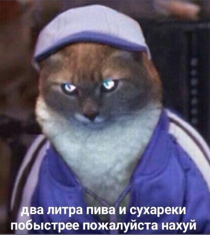 два литра пива и сухареки побыстрее пожалуйста нахуй