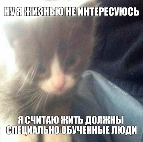 ИНТЕРЕСУЮСЬ Я СЧИТАЮ ЖИТЬ СПЕЦИАЛЬНО ОБУЧЕННЫЕ ЛЮДИ