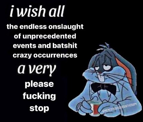 iwishall the endless onslaught of unprecedented events and batshit crazy occurrences ауегу please fucking stop