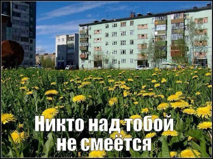 to 1; bee a и тобой Никто над не смеется