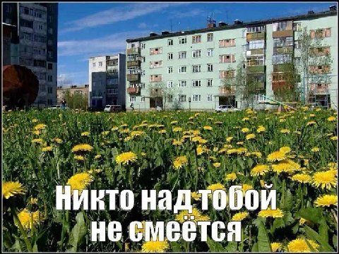 to 1; bee a и тобой Никто над не смеется