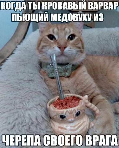 КОГДА ТЫ НРОВАВЫЙ ВАРВАР МЕДОВУХУ ИЗ ЧЕРЕПА СВОЕГО ВРАГА