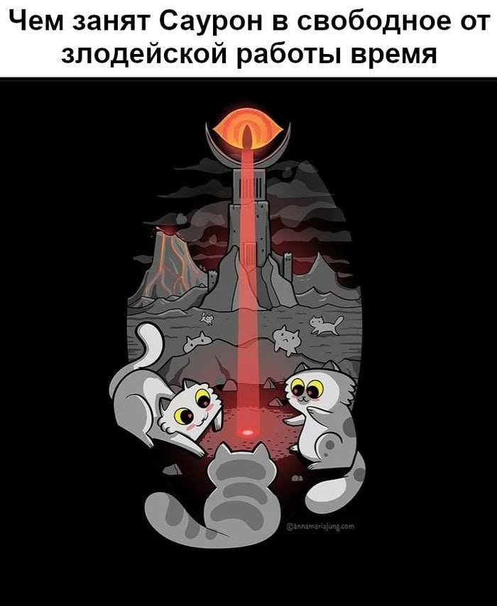 🐱 Все любят играть с котиками