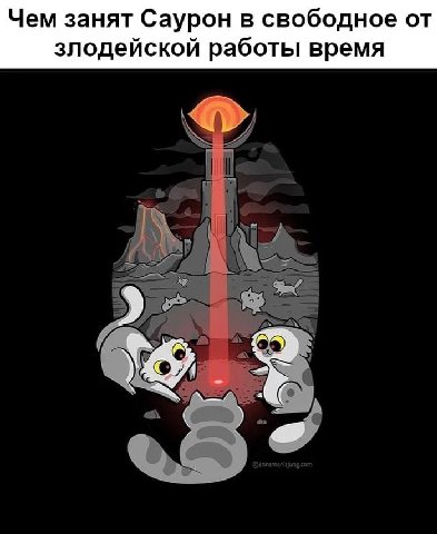🐱 Все любят играть с котиками