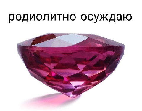родиолитно осуждаю