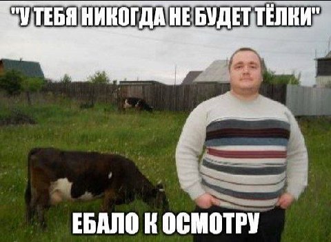 УТЕБЯ HE БУДЕТ ТЕЛКИ" 5 ЕБАЛО К ОСМОТРУ